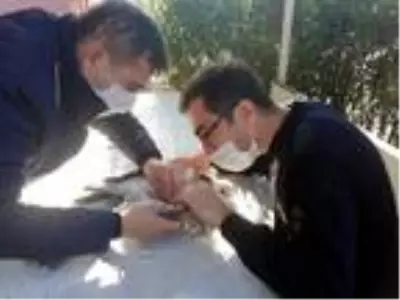 Misinaya dolanan martıyı itfaiye kurtardı Misinaya dolanan martıyı itfaiye kurtardı