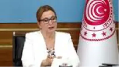 Bakan Pekcan, TÜSİAD'ın 'Küresel Tedarik Zincirlerinin Yeniden Yapılanması' webinarında konuştu Açıklaması Bakan Pekcan, TÜSİAD'ın 'Küresel Tedarik Zincirlerinin Yeniden Yapılanması' webinarında konuştu Açıklaması
