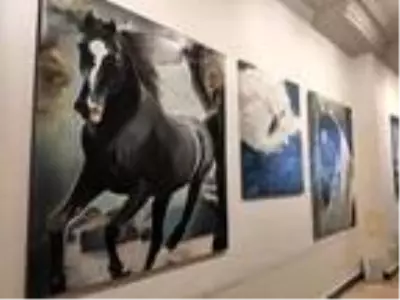 Ressam Tülin Kanun'dan 'can dostlara' özel sergi Ressam Tülin Kanun'dan 'can dostlara' özel sergi
