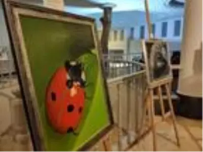 Ressam Tülin Kanun'dan 'can dostlara' özel sergi Ressam Tülin Kanun'dan 'can dostlara' özel sergi