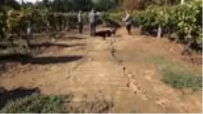 Sağanak sonrası fay hattına akan su geniş yarıklar açtı Sağanak sonrası fay hattına akan su geniş yarıklar açtı