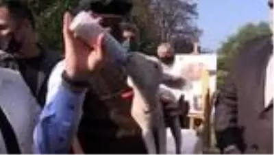 Tarım ve Orman Bakanı Pakdemirli, çeşitli ziyaretlerde bulundu Tarım ve Orman Bakanı Pakdemirli, çeşitli ziyaretlerde bulundu