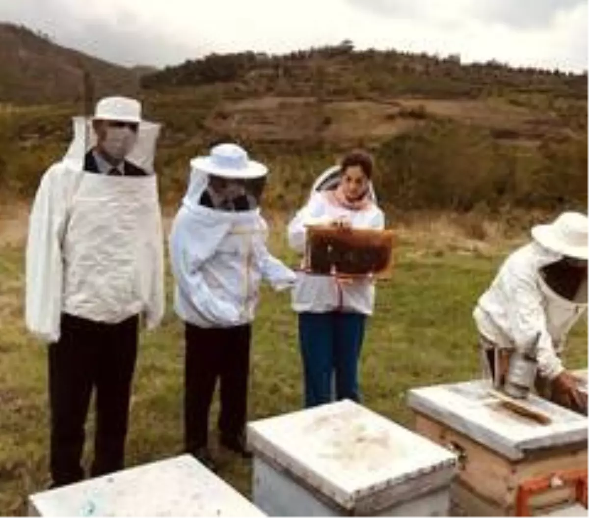 Vali Aktaş, kestane balı hasat sağımına katıldı