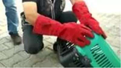Yaralı halde bulunan kerkenez yetkililere teslim edildi Yaralı halde bulunan kerkenez yetkililere teslim edildi