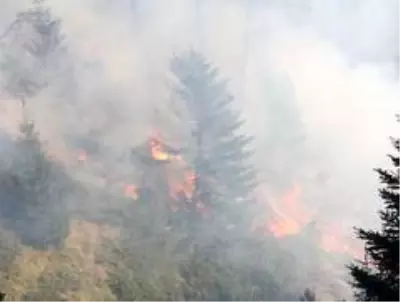 Kastamonu'da iki farklı noktada 3 gündür devam eden orman yangını söndürülemiyor Kastamonu'da iki farklı noktada 3 gündür devam eden orman yangını söndürülemiyor