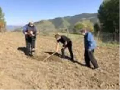 80 yaşındaki çift projede öncü oldu, bahçelerine 100 ceviz fidanı dikildi 80 yaşındaki çift projede öncü oldu, bahçelerine 100 ceviz fidanı dikildi