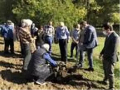 80 yaşındaki çift projede öncü oldu, bahçelerine 100 ceviz fidanı dikildi 80 yaşındaki çift projede öncü oldu, bahçelerine 100 ceviz fidanı dikildi