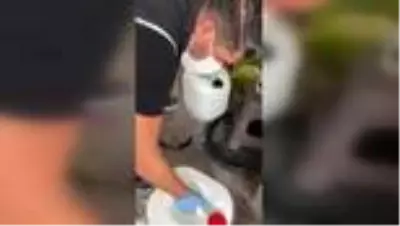 Adana'da 800 litre sahte içki ve 60 litre kaçak etil alkol ele geçirildi Adana'da 800 litre sahte içki ve 60 litre kaçak etil alkol ele geçirildi