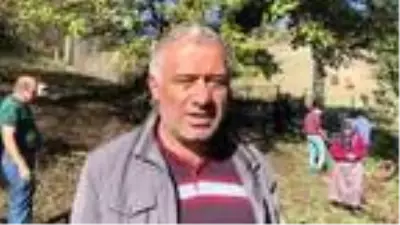 Artvin'de, 2 bin yıllık armut ağacı tescil ediliyor Artvin'de, 2 bin yıllık armut ağacı tescil ediliyor