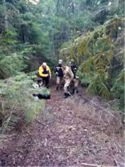 Son dakika haberi | Artvin'de çam sakızı toplamak için ormana giden yaşlı adam ölü bulundu Son dakika haberi | Artvin'de çam sakızı toplamak için ormana giden yaşlı adam ölü bulundu