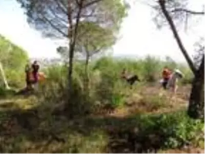 Son dakika haber | Atlı polisler Çavuşbaşı Ormanı'nda denetim yaptı Son dakika haber | Atlı polisler Çavuşbaşı Ormanı'nda denetim yaptı
