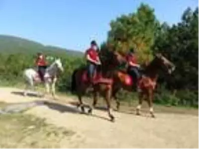 Son dakika haber | Atlı polisler Çavuşbaşı Ormanı'nda denetim yaptı Son dakika haber | Atlı polisler Çavuşbaşı Ormanı'nda denetim yaptı