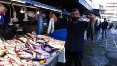 Balık halinde fiyat rekoru hamside Balık halinde fiyat rekoru hamside