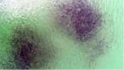 Son dakika! Baraj gölündeki balıkların kümeler halinde durmasının nedeni ortaya çıktı Son dakika! Baraj gölündeki balıkların kümeler halinde durmasının nedeni ortaya çıktı