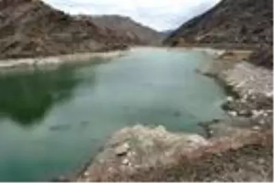 Son dakika! Baraj gölündeki balıkların kümeler halinde durmasının nedeni ortaya çıktı Son dakika! Baraj gölündeki balıkların kümeler halinde durmasının nedeni ortaya çıktı