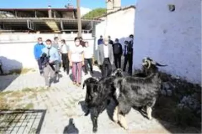 Başkan Gürün: 'Muğla turizmden daha fazlasını tarımdan kazanabilir' Başkan Gürün: 'Muğla turizmden daha fazlasını tarımdan kazanabilir'
