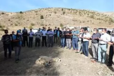 Başkan Üçok bereket ve bolluk için kurban kesti Başkan Üçok bereket ve bolluk için kurban kesti