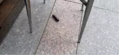 Son dakika haber... Alacak verecek kavgasında kan aktı...Panik anları kamerada Son dakika haber... Alacak verecek kavgasında kan aktı...Panik anları kamerada