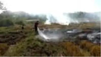 Son dakika haberleri! Boyabat'ta anız yangını söndürüldü Son dakika haberleri! Boyabat'ta anız yangını söndürüldü