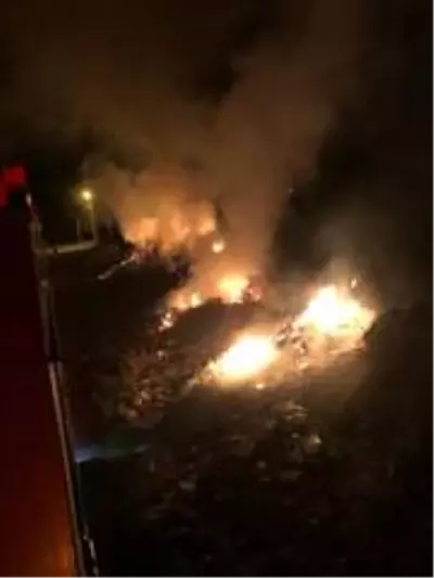 Burhaniye'de ot yangını söndürüldü Burhaniye'de ot yangını söndürüldü