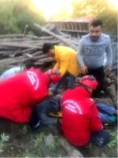 Devrilen traktörün altında kalan 4 kişiden 1'i öldü Devrilen traktörün altında kalan 4 kişiden 1'i öldü