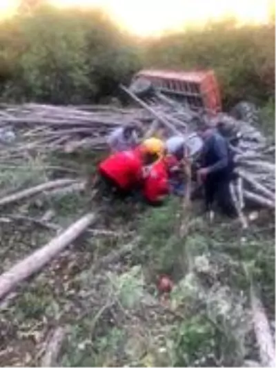 Devrilen traktörün altında kalan 4 kişiden 1'i öldü Devrilen traktörün altında kalan 4 kişiden 1'i öldü