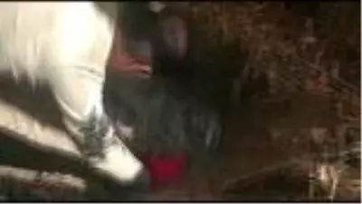 Diyarbakır'da 877 kilogram esrar ele geçirildi Diyarbakır'da 877 kilogram esrar ele geçirildi