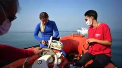 Özel - Dünya rekortmeni Şahika Ercümen Kocaeli'de balık çeşitliliğine hayran kaldı Özel - Dünya rekortmeni Şahika Ercümen Kocaeli'de balık çeşitliliğine hayran kaldı