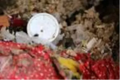 Evinden 2 kamyon çöp çıkan yaşlı kadının koronavirüs testi pozitif çıktı Evinden 2 kamyon çöp çıkan yaşlı kadının koronavirüs testi pozitif çıktı
