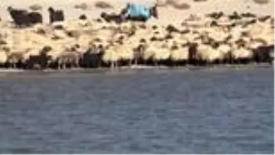 Göçerlerin zorlu dönüş yolculuğu başladı Göçerlerin zorlu dönüş yolculuğu başladı