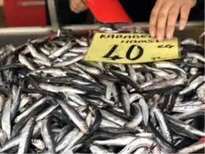 Hamside umutlar önümüzdeki aylara kaldı Hamside umutlar önümüzdeki aylara kaldı