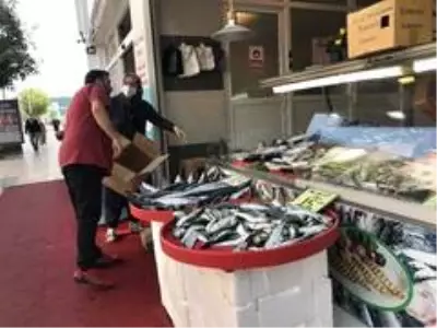 Hamside umutlar önümüzdeki aylara kaldı Hamside umutlar önümüzdeki aylara kaldı