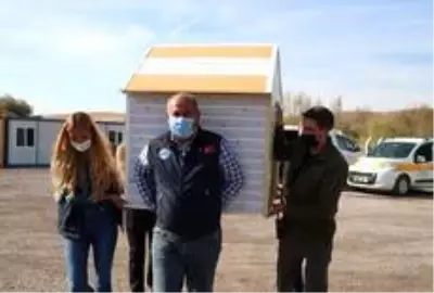 İlçe halkı sokak hayvanları için seferber oldu: 7'den 70'e gönüllü vatandaş kulübe yaptı İlçe halkı sokak hayvanları için seferber oldu: 7'den 70'e gönüllü vatandaş kulübe yaptı