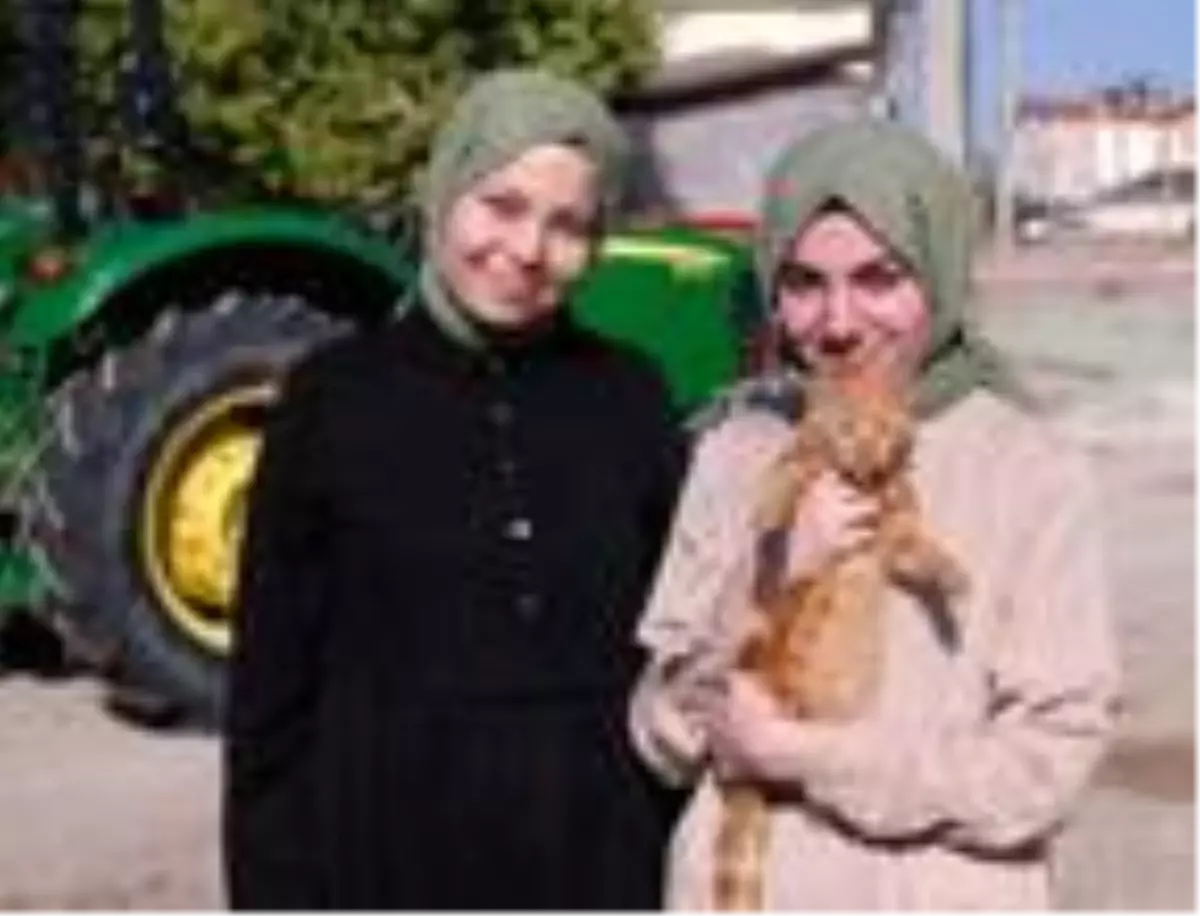 İlkokuldan beri hiç ayrılmayan ikizler, yan yana aynı üniversiteyi okuyor