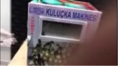 Kaçak sigaraları kuluçka makinesinde saklamışlar Kaçak sigaraları kuluçka makinesinde saklamışlar