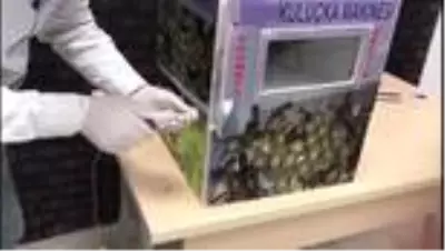 Kaçak sigaraları kuluçka makinesinde saklamışlar Kaçak sigaraları kuluçka makinesinde saklamışlar