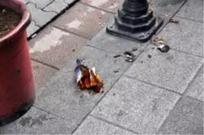 Kadıköy'de silahlı çatışma: Olayı gören 'Rambo Okan' o anları anlattı Kadıköy'de silahlı çatışma: Olayı gören 'Rambo Okan' o anları anlattı