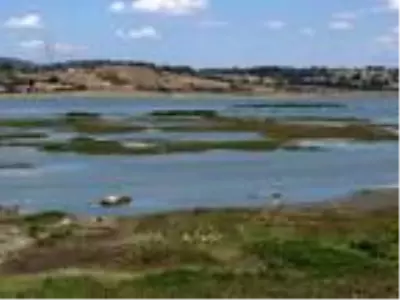 Karadeniz'de yağışlar yarıya düştü, kuraklık tehlikesi başladı Karadeniz'de yağışlar yarıya düştü, kuraklık tehlikesi başladı