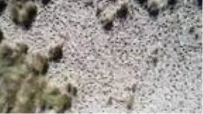 Karadeniz'de yağışlar yarıya düştü, kuraklık tehlikesi başladı Karadeniz'de yağışlar yarıya düştü, kuraklık tehlikesi başladı