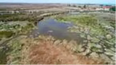 Karadeniz'de yağışlar yarıya düştü, kuraklık tehlikesi başladı Karadeniz'de yağışlar yarıya düştü, kuraklık tehlikesi başladı