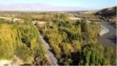 Karasu Nehri çevresindeki sonbahar renkleri güzel görüntüler oluşturdu Karasu Nehri çevresindeki sonbahar renkleri güzel görüntüler oluşturdu