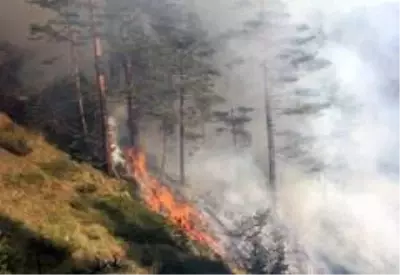 Kastamonu'da iki farklı noktada 3 gündür devam eden orman yangını söndürülemiyor Kastamonu'da iki farklı noktada 3 gündür devam eden orman yangını söndürülemiyor