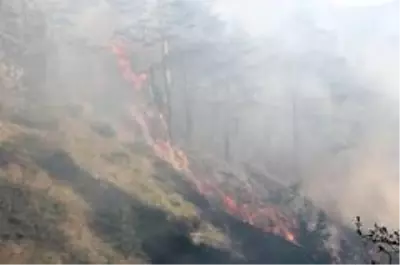 Kastamonu'da iki farklı noktada 3 gündür devam eden orman yangını söndürülemiyor Kastamonu'da iki farklı noktada 3 gündür devam eden orman yangını söndürülemiyor
