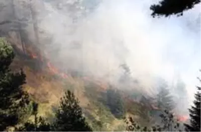 Kastamonu'da iki farklı noktada 3 gündür devam eden orman yangını söndürülemiyor Kastamonu'da iki farklı noktada 3 gündür devam eden orman yangını söndürülemiyor