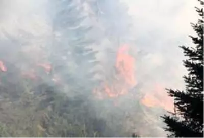 Kastamonu'da iki farklı noktada 3 gündür devam eden orman yangını söndürülemiyor Kastamonu'da iki farklı noktada 3 gündür devam eden orman yangını söndürülemiyor