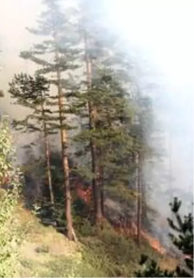 Kastamonu'da iki farklı noktada 3 gündür devam eden orman yangını söndürülemiyor Kastamonu'da iki farklı noktada 3 gündür devam eden orman yangını söndürülemiyor