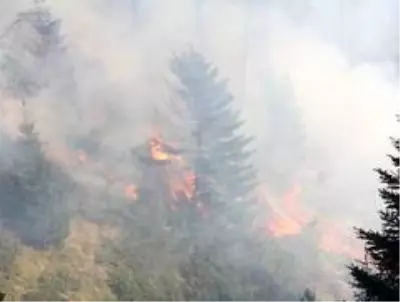 Kastamonu'da iki farklı noktada 3 gündür devam eden orman yangını söndürülemiyor Kastamonu'da iki farklı noktada 3 gündür devam eden orman yangını söndürülemiyor