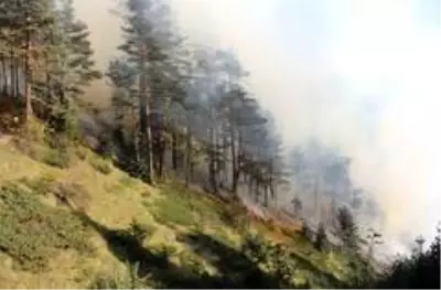 Kastamonu'da iki farklı noktada 3 gündür devam eden orman yangını söndürülemiyor Kastamonu'da iki farklı noktada 3 gündür devam eden orman yangını söndürülemiyor
