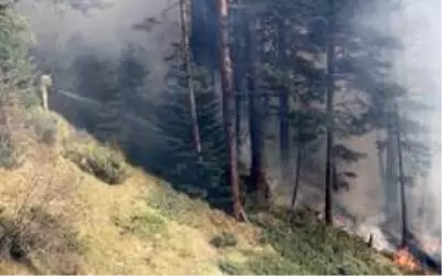 Kastamonu'da iki farklı noktada 3 gündür devam eden orman yangını söndürülemiyor Kastamonu'da iki farklı noktada 3 gündür devam eden orman yangını söndürülemiyor