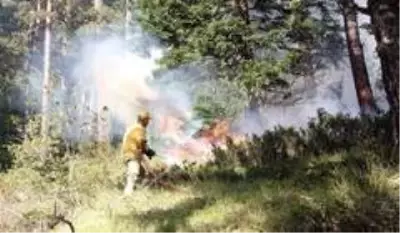 Kastamonu'da iki farklı noktada 3 gündür devam eden orman yangını söndürülemiyor Kastamonu'da iki farklı noktada 3 gündür devam eden orman yangını söndürülemiyor